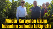 Müdür Karayılan üzüm hasadını sahada takip etti