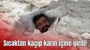 Sıcaktan kaçıp karın içine girdi!