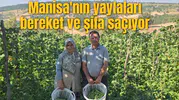 Manisa'nın yaylaları bereket ve şifa saçıyor