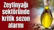 Manisa Ticaret Borsası'ndan zeytinyağı sektöründe kritik sezon alarmı