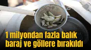 1 milyondan fazla balık baraj ve göllere bırakıldı