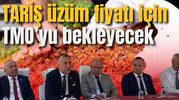 TARİŞ üzüm fiyatı için TMO’yu bekleyecek