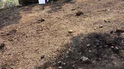 Spil Dağı'nda çıkan yangın söndürüldü