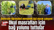 Üniversite öğrencileri mevsimlik işçi olarak çalışıyor: Okul masrafları için bağ yolunu tuttular