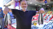 Karadeniz'de palamut balığı bereketi