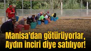 Manisa'dan götürüyorlar, Aydın inciri diye satılıyor!