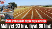 Üzüm üreticisinde büyük hayal kırıklığı: Maliyet 93 lira, fiyat 80 lira!