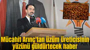 Mücahit Arınç'tan üzüm üreticisinin yüzünü güldürtecek haber
