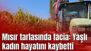 Mısır tarlasında facia: Yaşlı kadın hayatını kaybetti