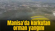 Manisa'da korkutan orman yangını