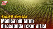 Manisa’nın tarım ihracatında rekor artış! 8 ayda 647 milyon dolar