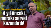 4 yıl önceki merakı servet kazandırdı! İlk hasatta 7 ton ürün elde etti