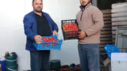 160 DEKARDA İLK ÇİLEK HASADI YAPILDI