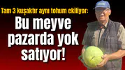 Tam 3 kuşaktır aynı tohum ekiliyor: Bu meyve pazarda yok satıyor!