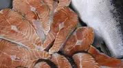 Türk Somonu ile Norveç Somonu Aynı Balık Değil! İşte Besin Değeri ve Omega-3 Farkı
