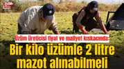 Üzüm üreticisi fiyat ve maliyet kıskacında: Bir kilo üzümle 2 litre mazot alınabilmeli