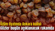 Üzüm fiyatında Ankara kulisi: Gözler bugün açıklanacak rakamda