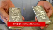Gümüş için yeni yılda dev rakam...