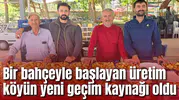 Bir bahçeyle başlayan üretim köyün yeni geçim kaynağı oldu