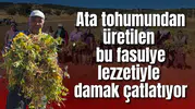Ata tohumundan üretilen bu fasulye lezzetiyle damak çatlatıyor