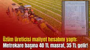 Üzüm üreticisi maliyet hesabını yaptı: Metrekare başına 40 TL masraf, 35 TL gelir