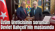 Üzüm üreticisinin sorunları Devlet Bahçeli’nin masasında