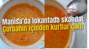 Manisa’da lokantada skandal: Çorbanın içinden kurtlar çıktı