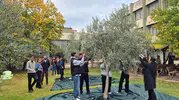 Zeytincilik öğrencileri hasat yapıp üretim sürecini inceledi