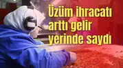 Üzüm ihracatı arttı gelir yerinde saydı