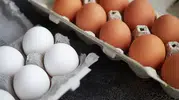 Hamur İşlerinde Yumurta Kokusu Neden Olur? İşte İşe Yarayan Püf Noktaları