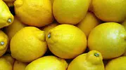 Limonlar Neden Hızla Buruşuyor? Saklarken Yapılan Bu Hatalara Dikkat