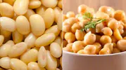 Nohut ve Fasulyede Tane Tane Sonuç İçin 6 Püf Noktası!