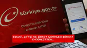 Esnaf, çiftçi ve şirket sahipleri dikkat e-devletten...