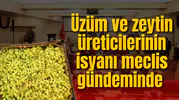 Üzüm ve zeytin üreticilerinin isyanı meclis gündeminde