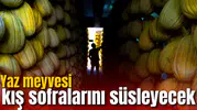 Tadıyla tescilli Kırkağaç kavunu 2027 sofraları için hazır