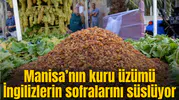 Manisa’nın kuru üzümü İngilizlerin sofralarını süslüyor