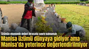 Manisa üzümü dünyaya gidiyor ama Manisa’da yeterince değerlendirilmiyor: Üzümün ekonomik değeri ihracatla sınırlı kalmamalı