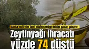 Manisa’nın üretim lideri olduğu sektörde tehlike çanları çalışıyor: Zeytinyağı ihracatı yüzde 74 düştü