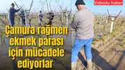 Çamura rağmen ekmek parası için mücadele ediyorlar
