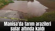 Manisa'da tarım arazileri sular altında kaldı