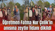 Öğretmen Fatma Nur Çelik’in anısına zeytin fidanı dikildi