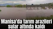 Manisa'da tarım arazileri sular altında kaldı