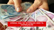 Emekli, dul ve yetimlere 8000 TL yatırılacak