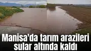Manisa'da tarım arazileri sular altında kaldı