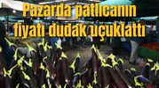 Pazarda patlıcanın fiyatı dudak uçuklattı
