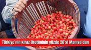 Türkiye’nin kiraz üretiminin yüzde 20’si Manisa’dan