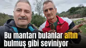 Manisa'da bu mantarı bulanlar altın bulmuş gibi seviniyor