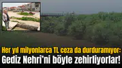 Her yıl milyonlarca TL ceza da durduramıyor: Gediz Nehri’ni böyle zehirliyorlar!