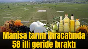 Manisa tarım ihracatında 58 illi geride bıraktı