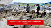Kurban alırken buna dikkat etmeyen yandı